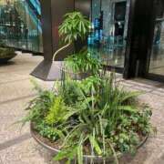 ヒメ日記 2026/06/13 03:41 投稿 愛琉(あいる) グランドオペラ横浜