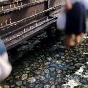 ヒメ日記 2026/07/11 15:30 投稿 来栖　あや プルプル京都性感エステ　はんなり