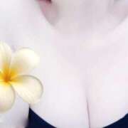 村木 えみ 楽しみましょ こあくまな熟女たち 上野・御徒町店 (KOAKUMAグループ)