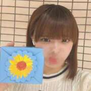 ヒメ日記 2026/08/15 20:59 投稿 美谷あいか 池袋パラダイス