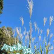 ヒメ日記 2026/09/26 10:58 投稿 市川ゆずな 松戸人妻花壇
