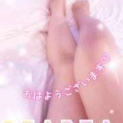 ヒメ日記 2026/08/19 08:53 投稿 なな ニューヨークニューヨーク