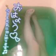ヒメ日記 2026/09/19 09:35 投稿 音無いつき 松戸人妻花壇