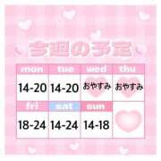 ヒメ日記 2026/09/21 11:31 投稿 音無いつき 松戸人妻花壇