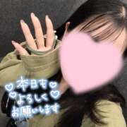 ヒメ日記 2026/10/17 12:36 投稿 音無いつき 松戸人妻花壇