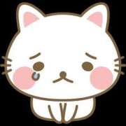 モア ごめんなさい エピソード(品川)