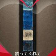 ヒメ日記 2026/07/06 09:00 投稿 える 奥鉄オクテツ奈良