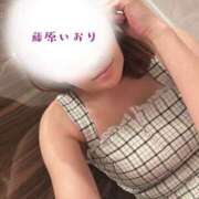藤原いおり バタバタしてる… ミセスレディ