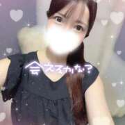 ヒメ日記 2026/08/14 17:26 投稿 笑瑠 唯 Canx2 R30×R40神戸店