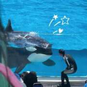 ヒメ日記 2026/07/07 19:29 投稿 きほ luxury spa 風雅