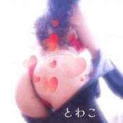 ヒメ日記 2026/07/02 09:44 投稿 とわこ 熟女総本店尼崎店