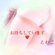 ヒメ日記 2026/07/24 10:13 投稿 とわこ 熟女総本店尼崎店
