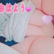 ヒメ日記 2026/06/23 06:49 投稿 じゅの 茨城日立ちゃんこ