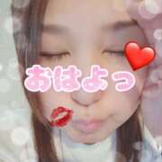 ヒメ日記 2026/09/11 08:44 投稿 じゅの 茨城日立ちゃんこ