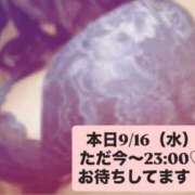ヒメ日記 2026/09/16 17:06 投稿 小林 真尋 こあくまな熟女たち 本厚木店(KOAKUMAグループ)