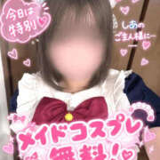 しあ ご主人様💞絶対見てください😘 新潟市鳥屋野潟ちゃんこ