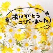 ヒメ日記 2026/07/06 18:42 投稿 咲宮(さきみや) 人妻出逢い会 百合の園 品川店