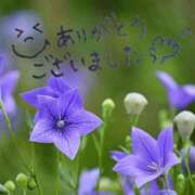 ヒメ日記 2026/08/08 07:41 投稿 咲宮(さきみや) 人妻出逢い会 百合の園 品川店