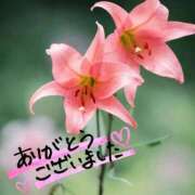ヒメ日記 2026/08/31 14:56 投稿 咲宮(さきみや) 人妻出逢い会 百合の園 品川店