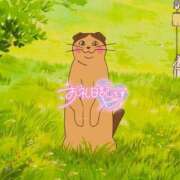 ヒメ日記 2026/08/27 22:29 投稿 おと スター学園