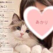 ヒメ日記 2026/09/14 17:51 投稿 あかり ふぞろいの人妻たち