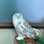 ヒメ日記 2026/06/16 18:02 投稿 れれい 新宿サンキュー