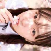 ヒメ日記 2026/06/18 12:19 投稿 にあ【現役塾講師降臨】 STELLA TOKYO－ステラトウキョウ－