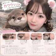 にあ【現役塾講師降臨】 【似てる動物🤍】 STELLA TOKYO－ステラトウキョウ－
