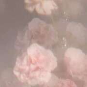 ヒメ日記 2026/07/31 08:32 投稿 雫【シズク】 輝女