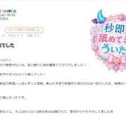 ヒメ日記 2026/08/10 14:15 投稿 うい【攻撃型】 秒即DE舐めてミント 新宿デリバリー店