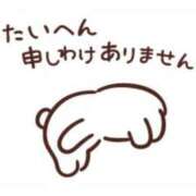 禅院ひなた 今回の日程途中帰宅します🙇‍♀️ ブルーバード