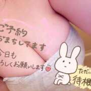ヒメ日記 2026/08/19 16:57 投稿 みゆ 京都祇園・南インターちゃんこ