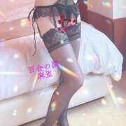 麻里(まり) 今日も一日ありがとう💖 人妻出逢い会 百合の園 品川店