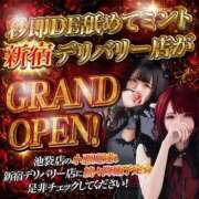 ヒメ日記 2026/07/05 22:45 投稿 ののか【攻撃型】 秒即DE舐めてミント 新宿デリバリー店