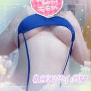 ヒメ日記 2026/09/12 10:04 投稿 ももか【バランス型】 秒即DE舐めてミント 新宿デリバリー店