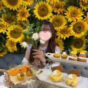 ヒメ日記 2026/08/10 16:51 投稿 あいみ ワンダーホール24in幕張