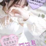 ヒメ日記 2026/07/13 19:45 投稿 せん【ご奉仕型】 秒即DE舐めてミント 新宿デリバリー店