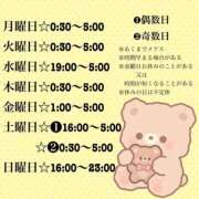 ヒメ日記 2026/09/15 18:17 投稿 せん【ご奉仕型】 秒即DE舐めてミント 新宿デリバリー店