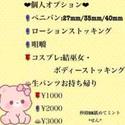 ヒメ日記 2026/10/12 19:05 投稿 せん【ご奉仕型】 秒即DE舐めてミント 新宿デリバリー店