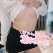 ヒメ日記 2026/08/24 12:05 投稿 ふみ【ご奉仕型】 秒即DE舐めてミント 新宿デリバリー店