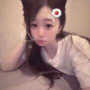 ヒメ日記 2026/07/24 06:33 投稿 ユイ 川崎美女革命