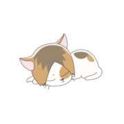 ヒメ日記 2026/06/16 14:52 投稿 せな 萌えカワ