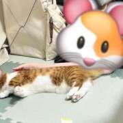 ヒメ日記 2026/06/18 20:21 投稿 天照ひなの Guilty concept A