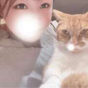 ヒメ日記 2026/07/13 08:50 投稿 天照ひなの Guilty concept A