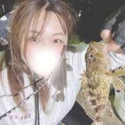 ヒメ日記 2026/07/21 13:34 投稿 天照ひなの Guilty concept A
