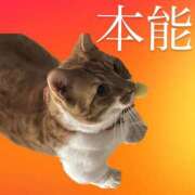 ヒメ日記 2026/08/15 22:51 投稿 天照ひなの Guilty concept A
