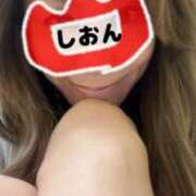 しおん お礼 水戸人妻花壇
