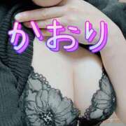 ヒメ日記 2026/06/14 14:38 投稿 かおり あとりえ(ATELIER)