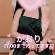 ヒメ日記 2026/09/05 10:13 投稿 かおり あとりえ(ATELIER)