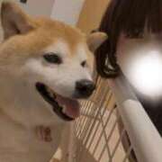 ヒメ日記 2026/06/20 05:47 投稿 なぎ 素人美少女専門　町田アンジェリーク（アンジェリークグループ）